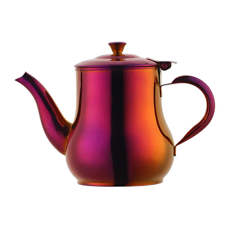Anygleam Red Rainbow Stainless Steel Teapot with Filter – Multi-Purpose Kettle for Coffee, Tea, Oil & Seasonings