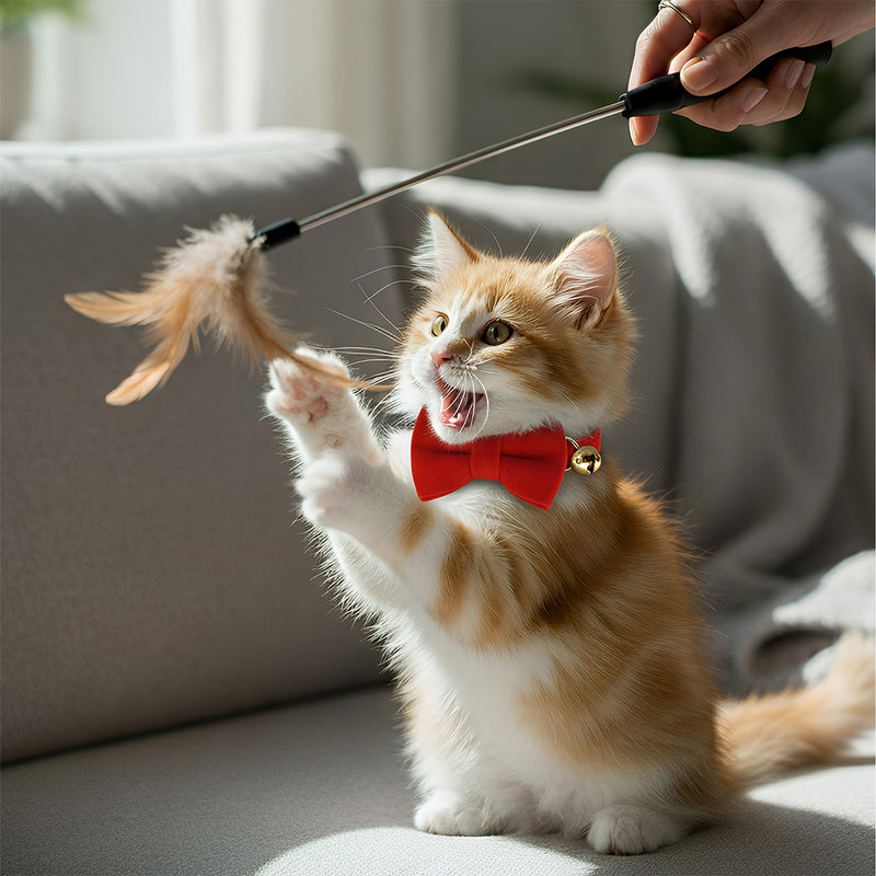 ANYWAGS Cat Collar Red Bow Small with Safety Buckle, Bell, and Durable Strap Stylish and Comfortable Pet Accessor