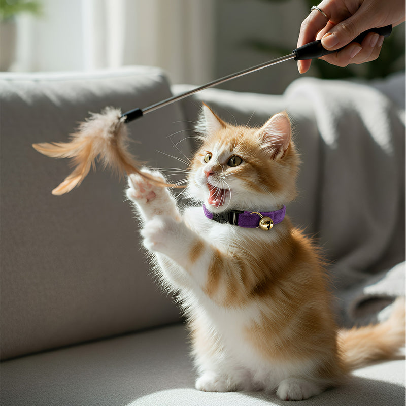 ANYWAGS Cat Collar Dark Purple Large with Safety Buckle, Bell, and Durable Strap Stylish and Comfortable Pet Accessory