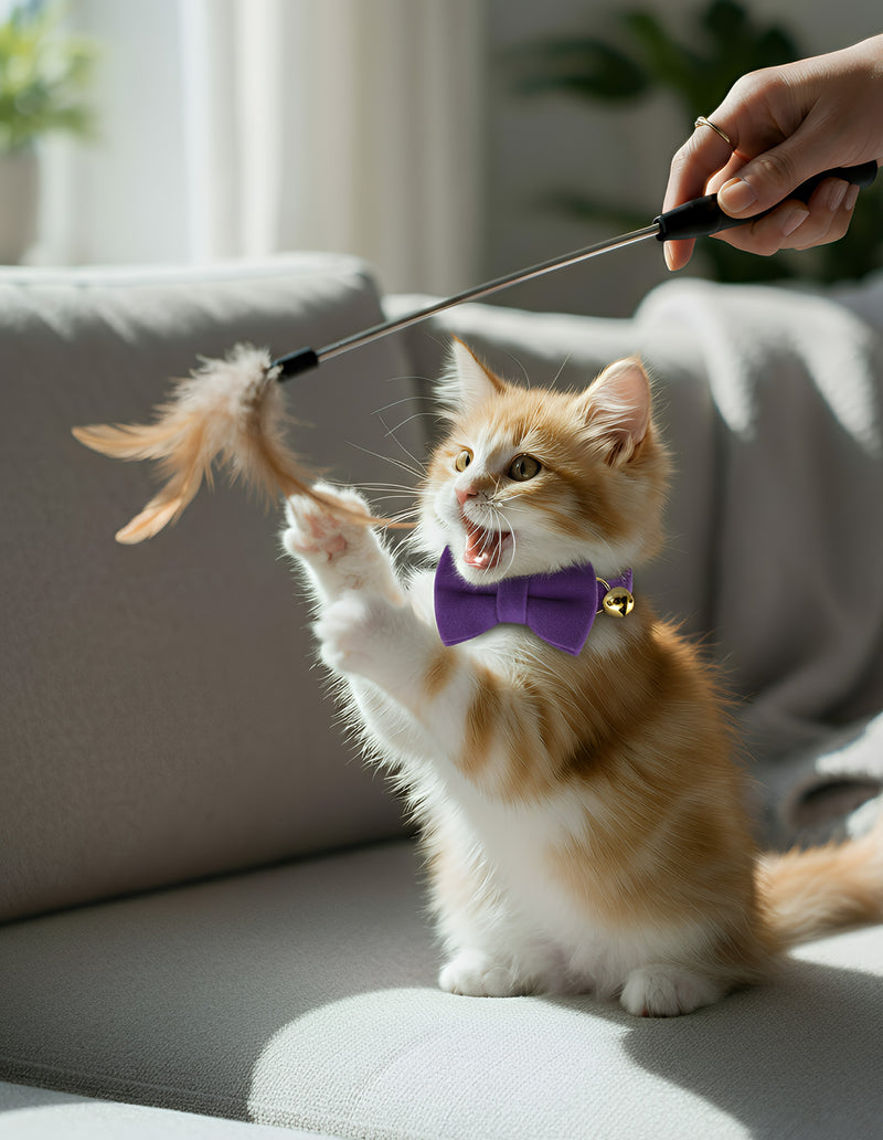 Anypet Stylish Violet Bow Cat Collar – Large Size with Safety Buckle, Bell & Durable Strap
