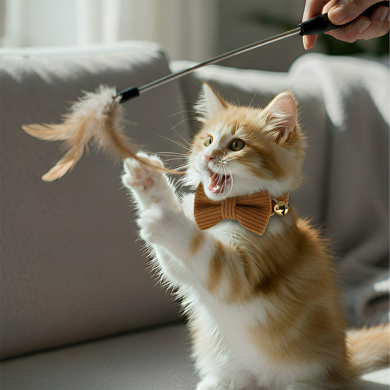 ANYWAGS Cat Collar Choco Brown Bow Large with Safety Buckle, Bell, and Durable Strap Stylish and Comfortable Pet Accessory