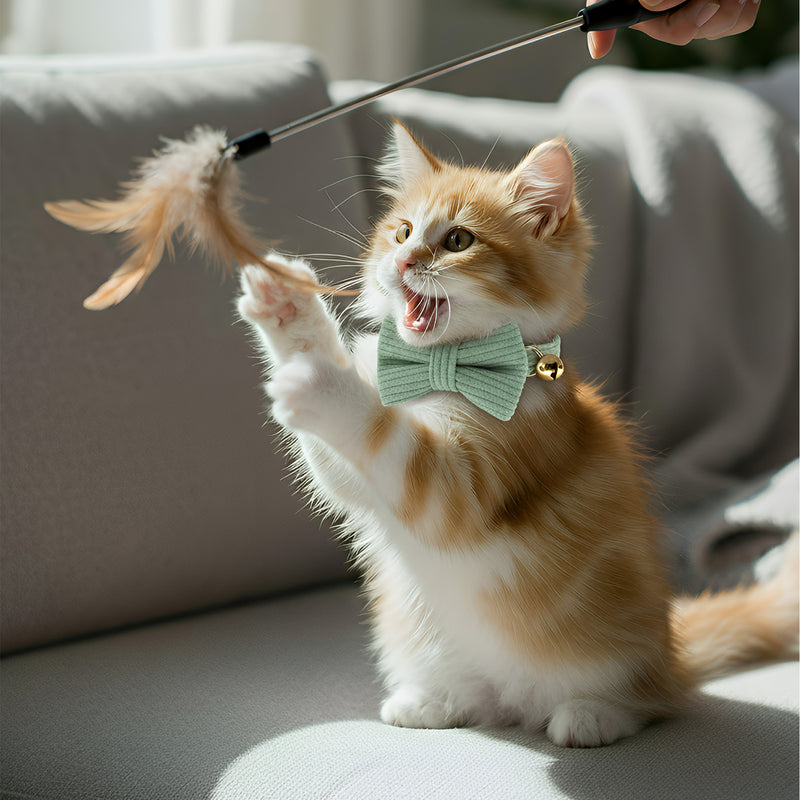 Anypet Stylish Sage Green Bow Cat Collar – Small Size with Safety Buckle, Bell & Durable Strap