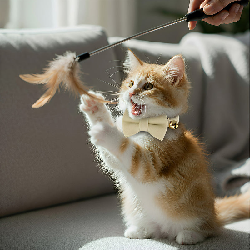 Anypet Stylish Off White Bow Cat Collar – Large Size with Safety Buckle, Bell & Durable Strap