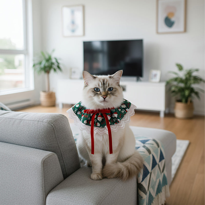 ANYWAGS Christmas Pet Collar – Green Santa Hat, Lace Silk Scarf for Dogs & Cats Holiday Accessories