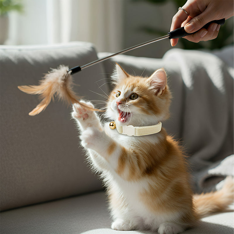 ANYWAGS Cat Collar Off White Small with Safety Buckle, Bell, and Durable Strap Stylish and Comfortable Pet Accessory