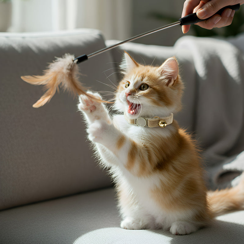 ANYWAGS Cat Collar Brown Small with Safety Buckle, Bell, and Durable Strap Stylish and Comfortable Pet Accessory