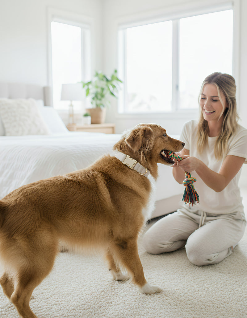 ANYWAGS Pet Collar Leash Set White Supplies Dog Accessories