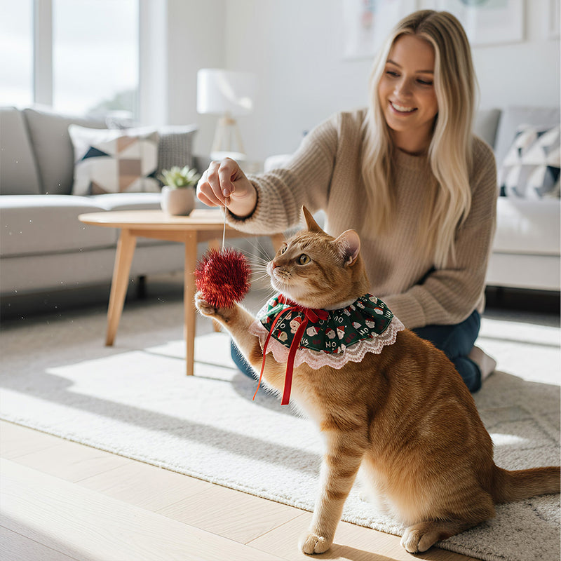 ANYWAGS Christmas Pet Collar – Green Santa Hat, Lace Silk Scarf for Dogs & Cats Holiday Accessories
