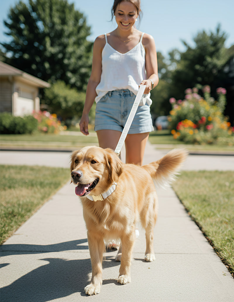 ANYWAGS Pet Collar Leash Set White Supplies Dog Accessories