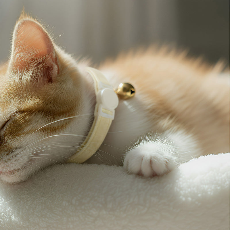 ANYWAGS Cat Collar Off White Bow Small with Safety Buckle, Bell, and Durable Strap Stylish and Comfortable Pet Accessor