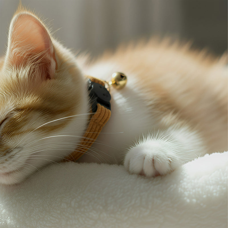 ANYWAGS Cat Collar Choco Brown Bow Large with Safety Buckle, Bell, and Durable Strap Stylish and Comfortable Pet Accessory