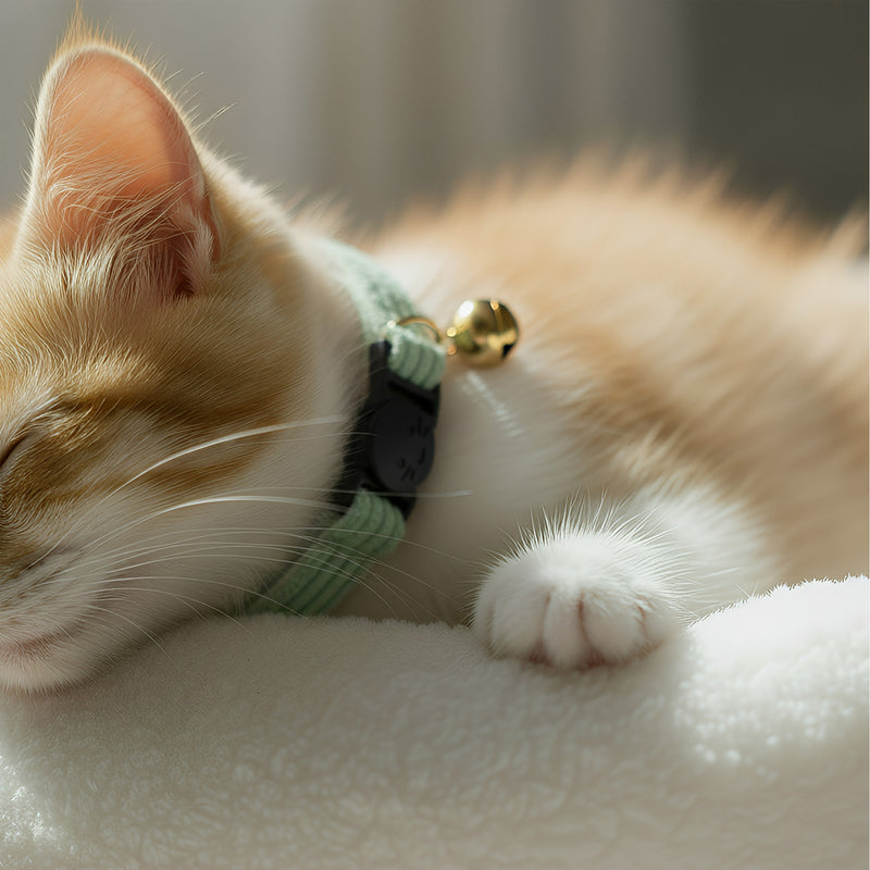 ANYWAGS Cat Collar Jade Bow Large with Safety Buckle, Bell, and Durable Strap Stylish and Comfortable Pet Accessory
