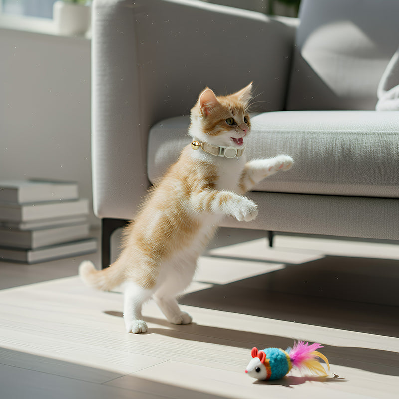 ANYWAGS Cat Collar Brown Small with Safety Buckle, Bell, and Durable Strap Stylish and Comfortable Pet Accessory