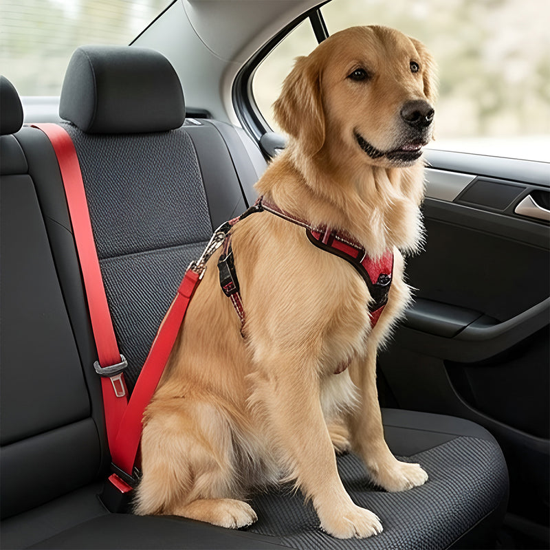 Adjustable Red Pet Car Seat Belt – Safety Harness for Dogs & Cats
