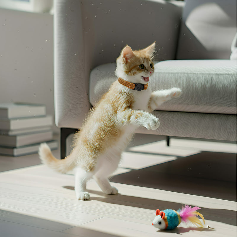 ANYWAGS Cat Collar Choco Brown Bow Large with Safety Buckle, Bell, and Durable Strap Stylish and Comfortable Pet Accessory