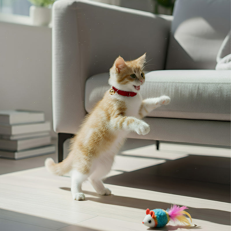 ANYWAGS Cat Collar Cherry Red Bow Small with Safety Buckle, Bell, and Durable Strap Stylish and Comfortable Pet Accessor