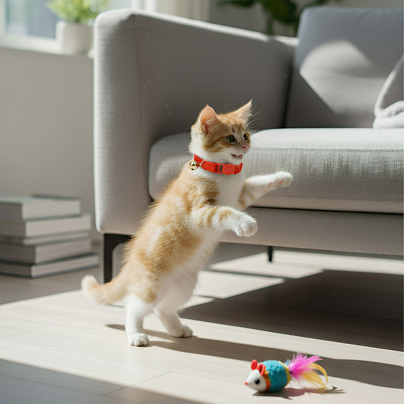 ANYWAGS Cat Collar Red Bow Small with Safety Buckle, Bell, and Durable Strap Stylish and Comfortable Pet Accessor