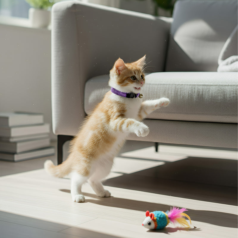 ANYWAGS Cat Collar Dark Purple Large with Safety Buckle, Bell, and Durable Strap Stylish and Comfortable Pet Accessory