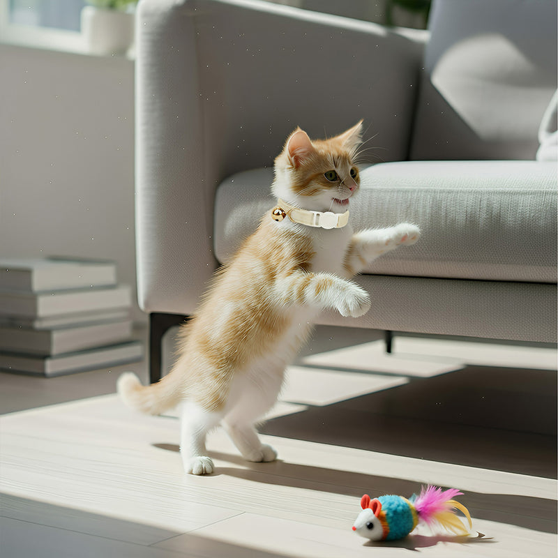 ANYWAGS Cat Collar Off White Bow Small with Safety Buckle, Bell, and Durable Strap Stylish and Comfortable Pet Accessor