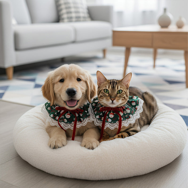 ANYWAGS Christmas Pet Collar – Green Santa Hat, Lace Silk Scarf for Dogs & Cats Holiday Accessories