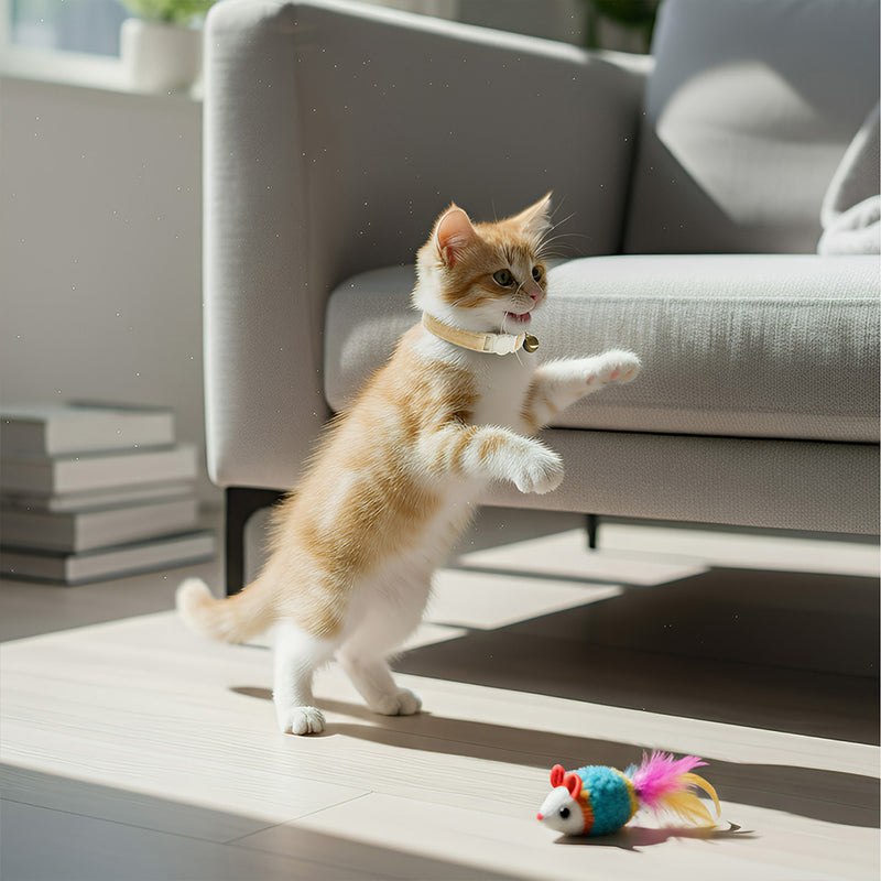 ANYWAGS Cat Collar Off White Small with Safety Buckle, Bell, and Durable Strap Stylish and Comfortable Pet Accessory