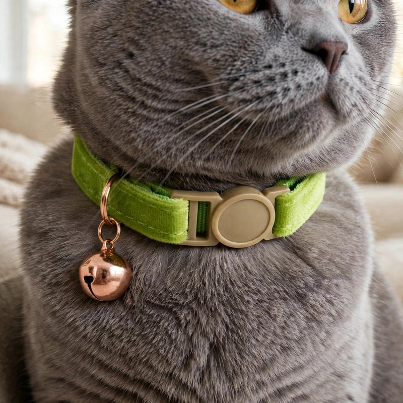 Anypet Cat Collar Lime Green Small with Safety Buckle, Bell, and Durable Strap Stylish and Comfortable Pet Accessory