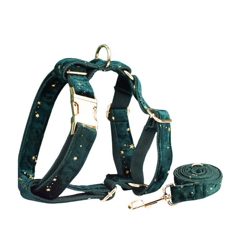 ANYWAGS Pet Harness Leash Green Shiny Star Gold Heavy Duty DIY Metal Dog Leash
