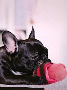 ANYWAGS Pet Toys Red Black Plush Pipe Slippers Squeaky Interactive Accessories