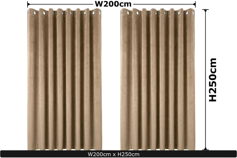 Anydrape 200cm Light Pawn High Quality Modern Velvet Blackout Curtains for Living Room Bedroom Dining Luxury Window Drape