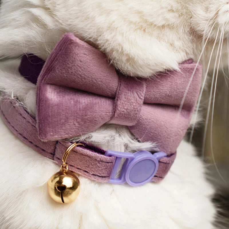 Anypet Stylish Purple Pink Cat Collar – Large Size with Safety Buckle, Bell & Durable Strap