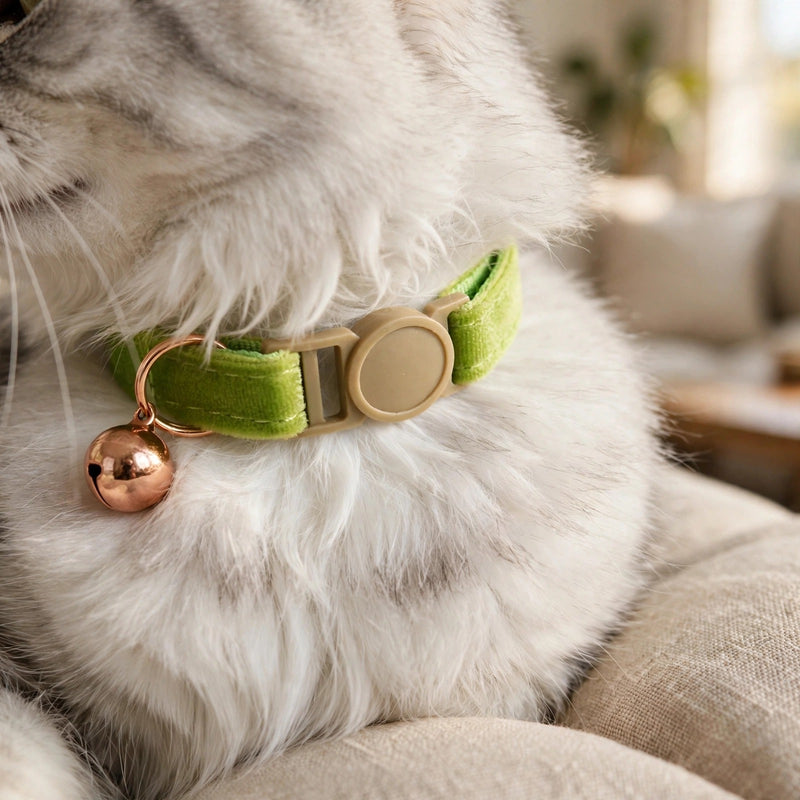 Anypet Cat Collar Lime Green Small with Safety Buckle, Bell, and Durable Strap Stylish and Comfortable Pet Accessory