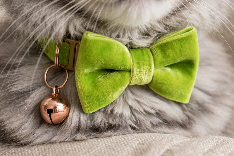 Anypet Cat Collar Lime Green Bow Small with Safety Buckle, Bell, and Durable Strap Stylish and Comfortable Pet Accessor