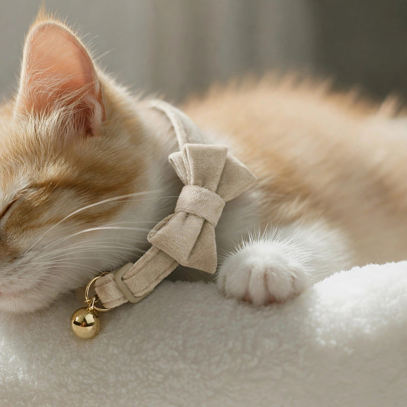 Anypet Cat Collar Beige Bow Large with Safety Buckle, Bell, and Durable Strap Stylish and Comfortable Pet Accessory