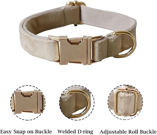 ANYWAGS Pet Collar Beige Custom DIY Accessories