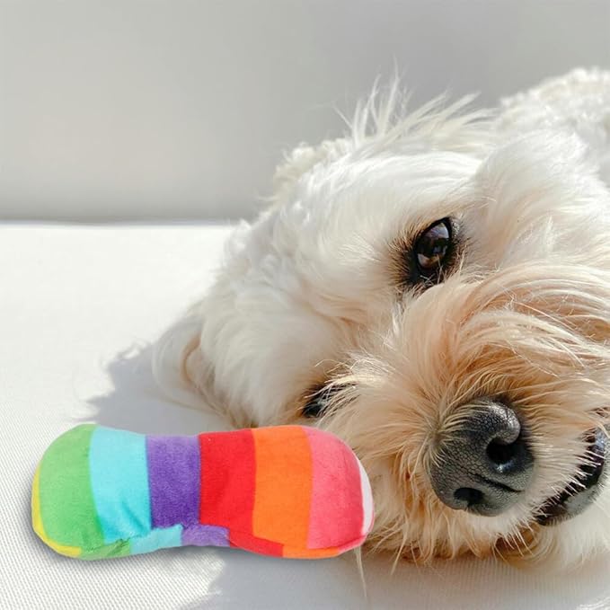 ANYWAGS Pet Toys Rainbow Plush Pipe Slippers Squeaky Interactive Item