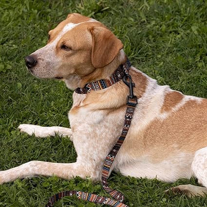 ANYWAGS Pet Collar Leash Set Multicolor Tribal Sytlish Strap Comfortable Dog Accessory