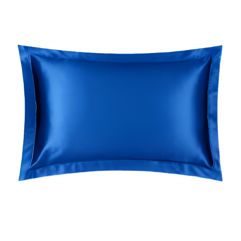 ANYHOUZ Pillowcase Paris Blue Luxury Soft Natural Mulberry Silky Two Sided Satin Cover