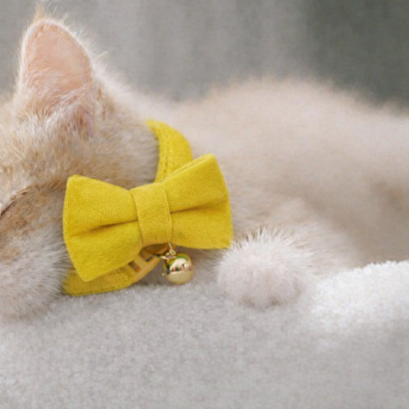 Anypet Stylish Yellow Bow Cat Collar – Large Size with Safety Buckle, Bell & Durable Strap