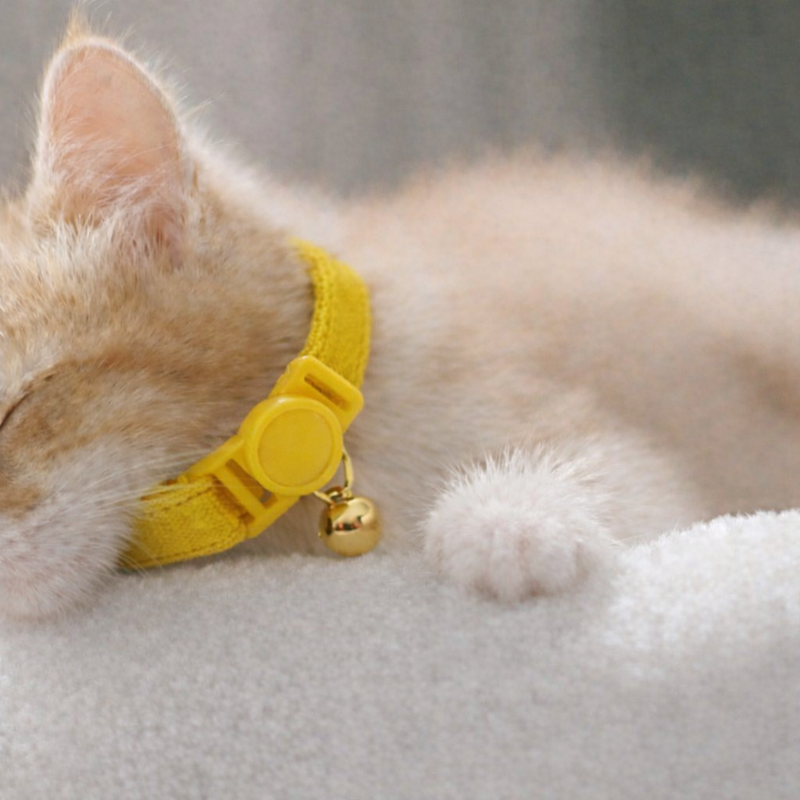 Anypet Stylish Yellow Cat Collar – Small Size with Safety Buckle, Bell & Durable Strap