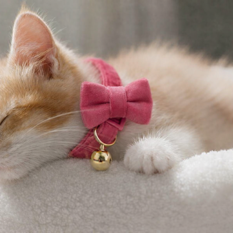 Anypet Stylish Pink Cat Collar – Large Size with Safety Buckle, Bell & Durable Strap