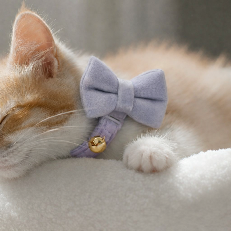 Anypet Stylish Light Purple Bow Cat Collar – Large Size with Safety Buckle, Bell & Durable Strap