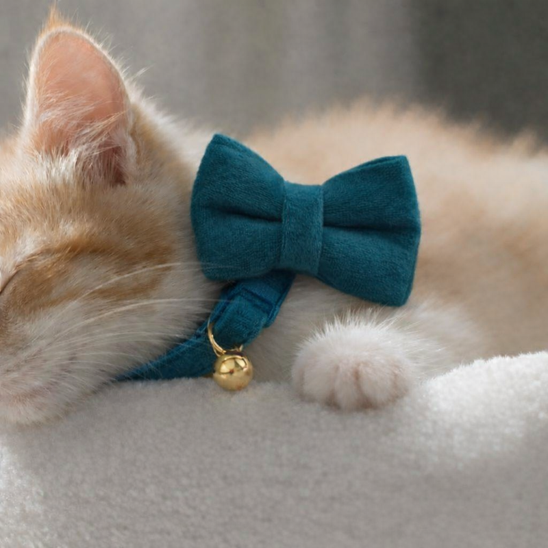 Anypet Stylish Navy Blue Bow Cat Collar – Large Size with Safety Buckle, Bell & Durable Strap