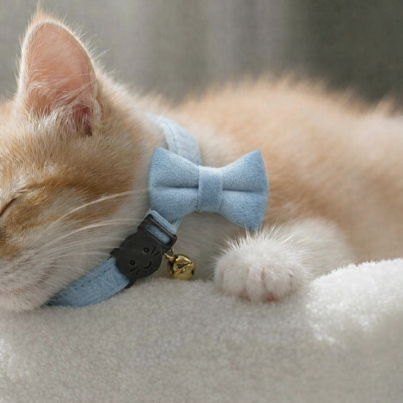Anypet Stylish Sky Blue Bow Cat Collar – Small Size with Safety Buckle, Bell & Durable Strap