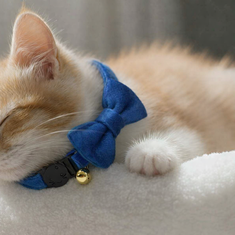 Anypet Stylish Blue Bow Cat Collar – Large Size with Safety Buckle, Bell & Durable Strap