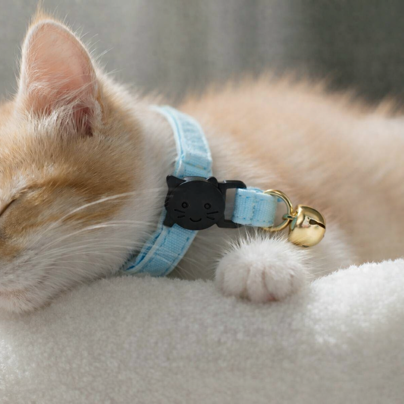 Anypet Stylish Iced Blue Cat Collar – Large Size with Safety Buckle, Bell & Durable Strap