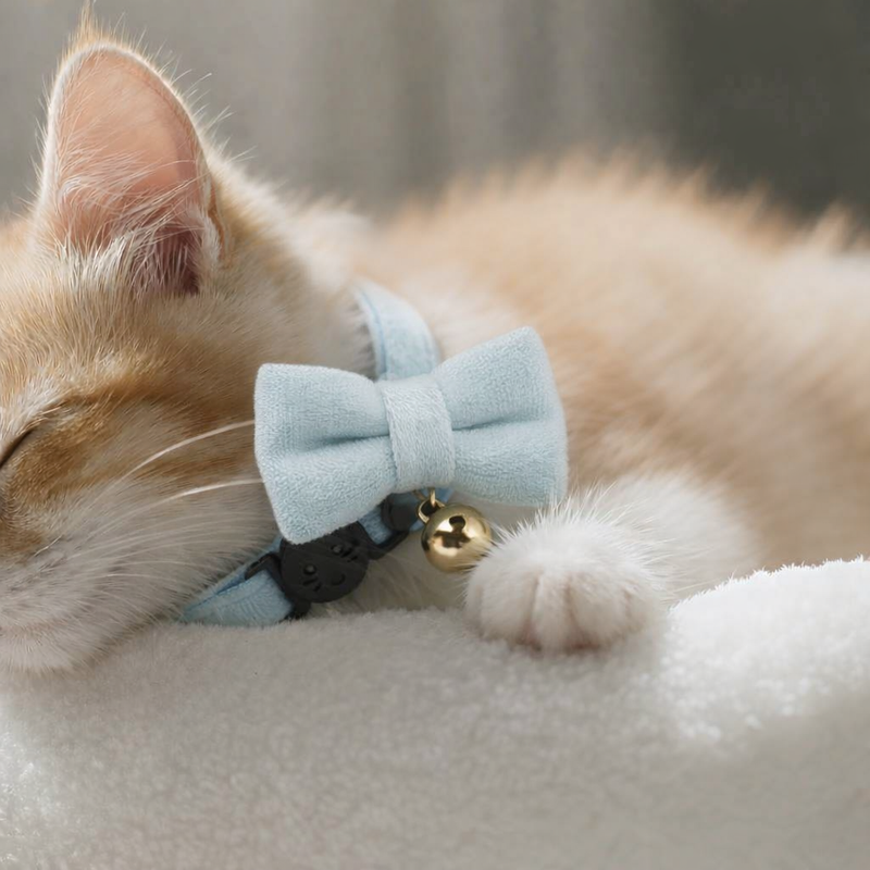 Anypet Stylish Iced Blue Bow Cat Collar – Large Size with Safety Buckle, Bell & Durable Strap