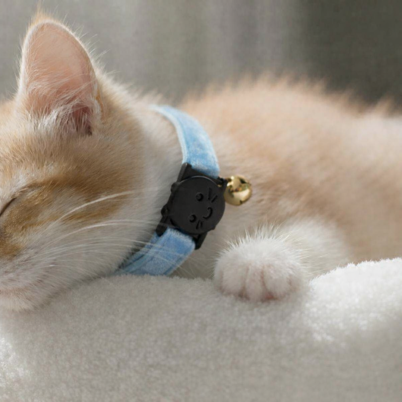 Anypet Stylish Aqua Blue Cat Collar – Large Size with Safety Buckle, Bell & Durable Strap