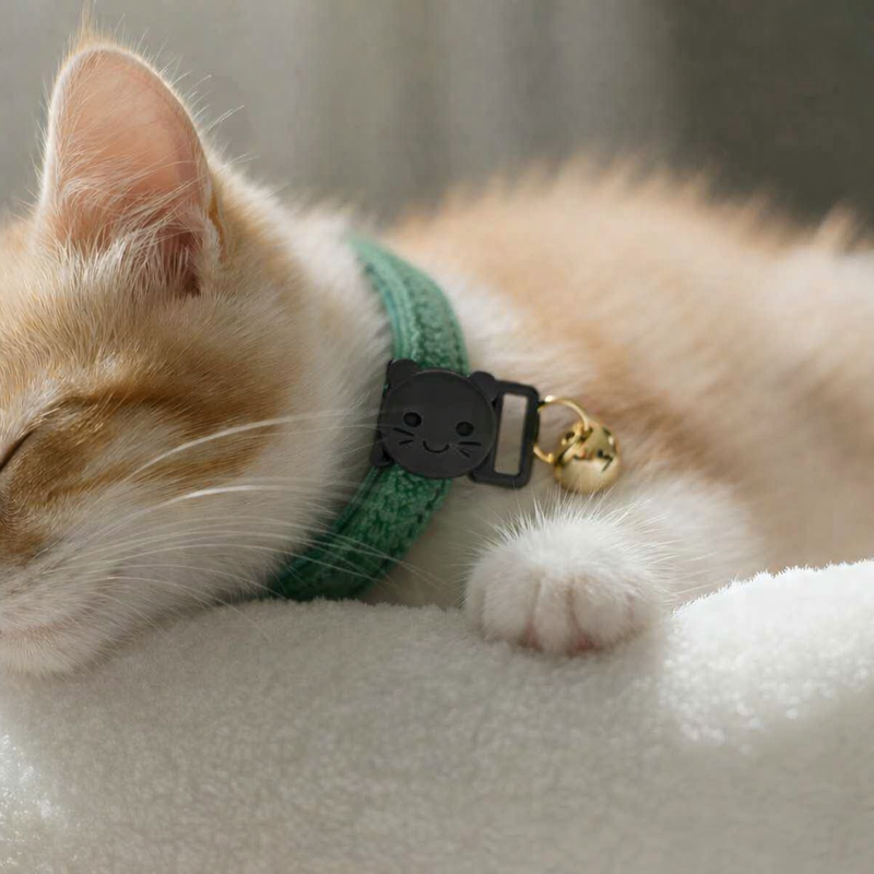 Anypet Stylish Hunter Green Cat Collar – Small Size with Safety Buckle, Bell & Durable Strap