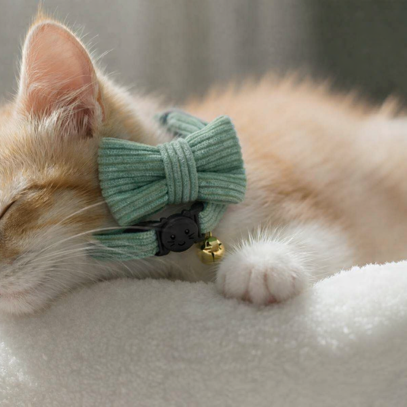 Anypet Stylish Hunter Green Bow Cat Collar – Large Size with Safety Buckle, Bell & Durable Strap