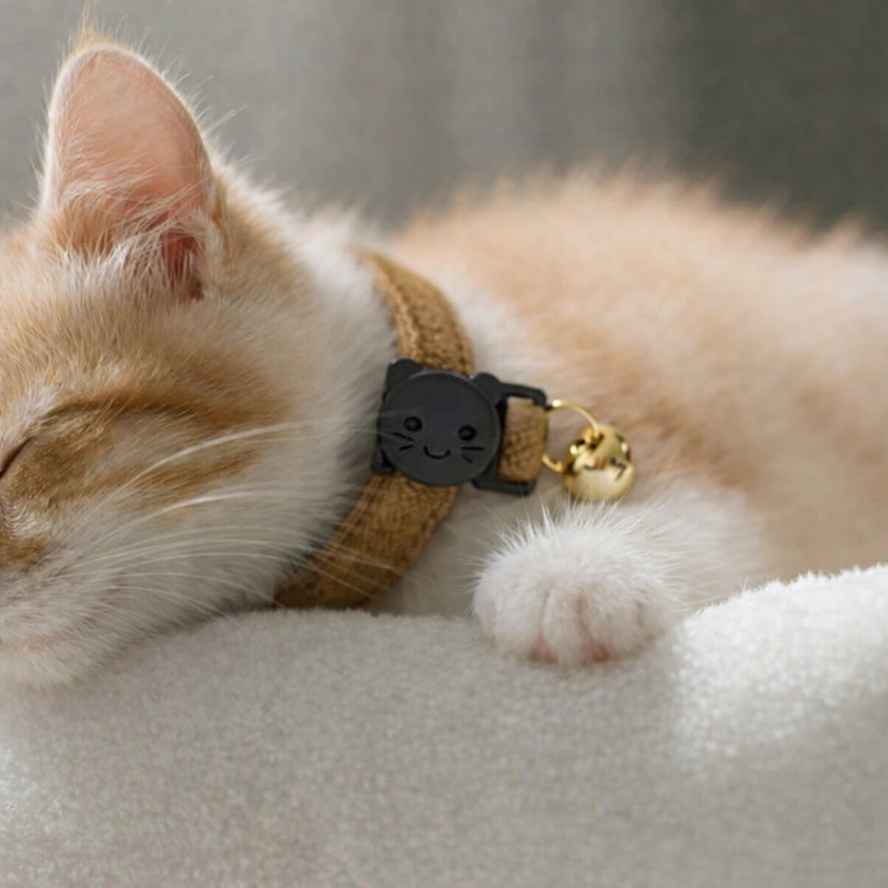 Anypet Stylish Choco Brown Cat Collar – Large Size with Safety Buckle, Bell & Durable Strap
